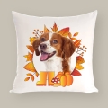Photoroom_20250819_221902.JPG