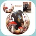 Photoroom_20250926_121328.JPG