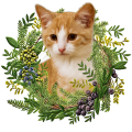 Photoroom_20240418_145956.PNG