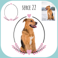 Poduszka personalizowana serce 22