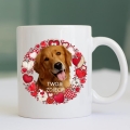 Photoroom_20240426_081540.JPG