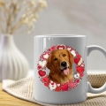 Photoroom_20240426_081618.JPG