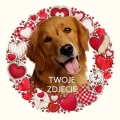 Photoroom_20240426_081659.JPG