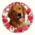 Photoroom_20240426_081635.JPG