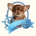 Photoroom_20240426_111508.JPG