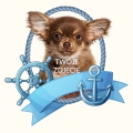 Photoroom_20240426_111531.JPG