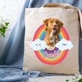 Photoroom_20240419_091826.JPG