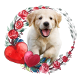 PhotoRoom_20240110_123603.PNG