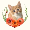 Photoroom_20240508_151751.JPG