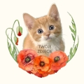 Photoroom_20240508_151821.JPG