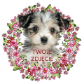 Photoroom_20240510_072452.PNG