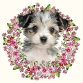 Photoroom_20240510_072416.JPG