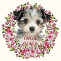 Photoroom_20240510_072411.JPG