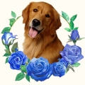 Photoroom_20240515_080734.JPG