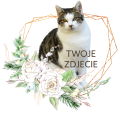 PhotoRoom_20240120_211826.PNG