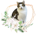 PhotoRoom_20240120_211801.PNG