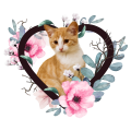 PhotoRoom_20240120_181632.PNG