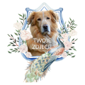 PhotoRoom_20240120_124748.PNG