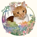 Photoroom_20240617_195435.JPG