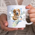 PhotoRoom_20240120_124932.JPG