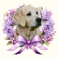 Photoroom_20240617_155635.JPG