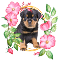 PhotoRoom_20240120_153501.PNG