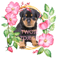 PhotoRoom_20240120_153527.PNG