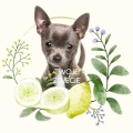 Photoroom_20240701_215206.JPG