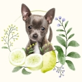 Photoroom_20240701_215237.JPG