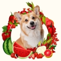 Photoroom_20240701_220749.JPG