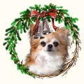 Photoroom_20240704_182922.JPG