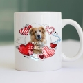 PhotoRoom_20240120_183903.JPG