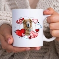 PhotoRoom_20240120_183950.JPG