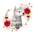 PhotoRoom_20240120_173735.PNG