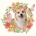 Photoroom_20240704_184051.JPG