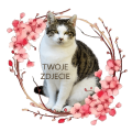 PhotoRoom_20240203_133531.PNG