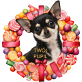 Photoroom_20240715_231332.PNG