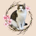 PhotoRoom_20240204_154951.JPG