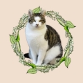 PhotoRoom_20240204_160518.JPG