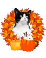 IMG_3579.PNG