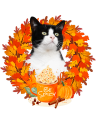 IMG_3578.PNG