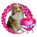 PhotoRoom_20240120_204228.PNG