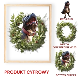 Boże Narodzenie 20 Grafika Cyfrowa