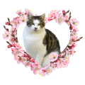PhotoRoom_20240120_182503.PNG