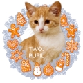 IMG_5300.JPG