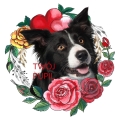 Photoroom_20250104_133102.JPG