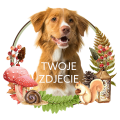 Photoroom_20240417_184011.PNG