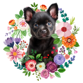 Photoroom_20250315_093937.png