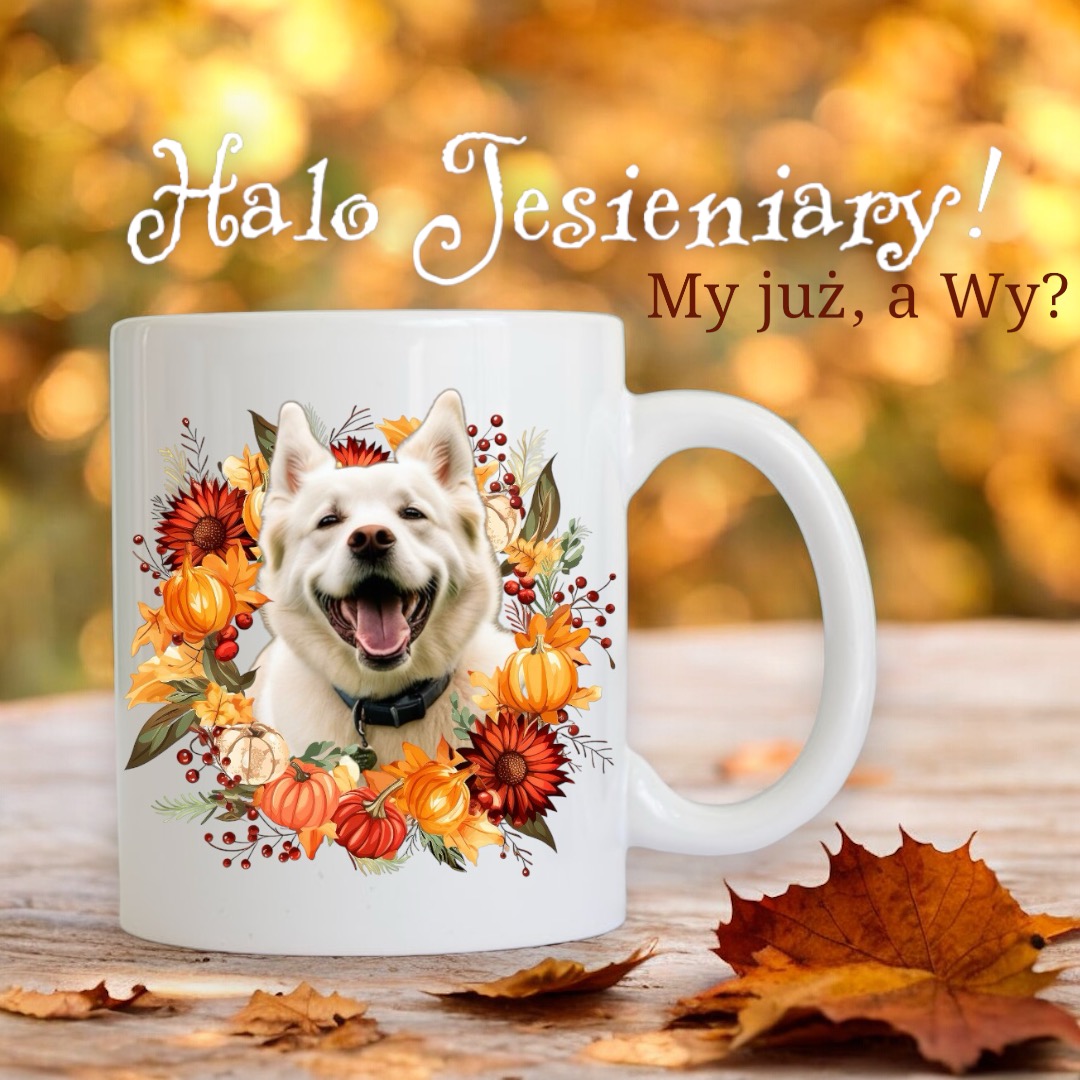 Halo Jesieniary!